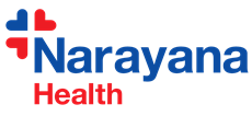 Narayana Health logo